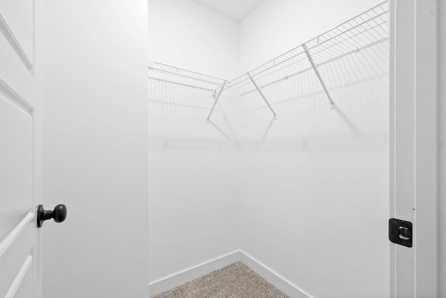 914 Power St Unit 12, Clarksville, TN 37042 - walk in closet with carpet floors