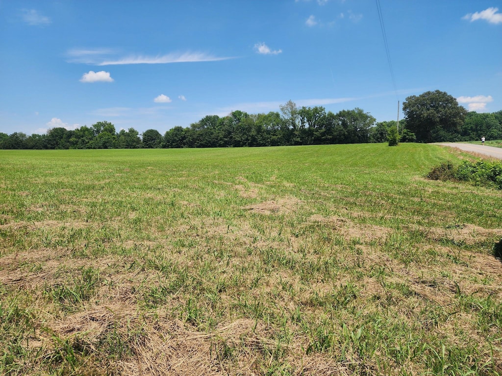 0 Vanntown Rd, Elora, TN 37328 - photo 2