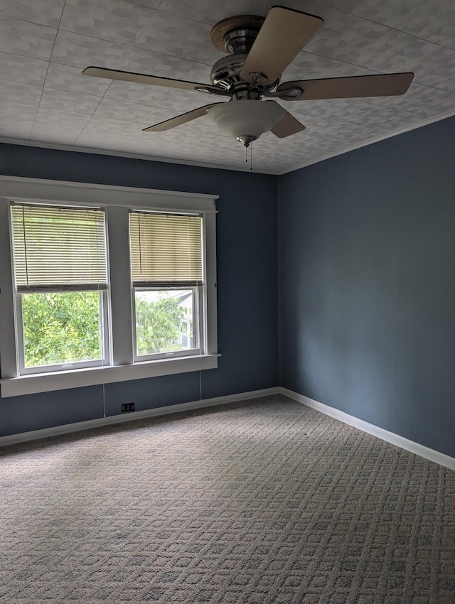 130 Fugate Ave E, Adairville, KY 42202 - photo 10