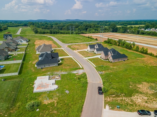 5409 Walnut Farms Blvd, Christiana, TN 37037 - photo 34