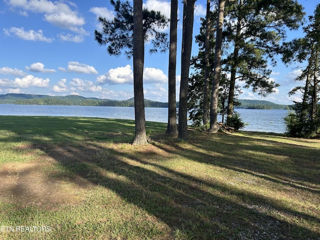 290 Pine Crest Dr, Rutledge, TN 37861 - photo 37