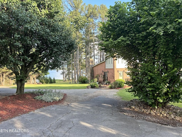 290 Pine Crest Dr, Rutledge, TN 37861 - photo 51