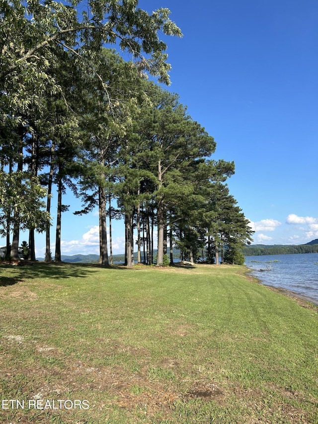 290 Pine Crest Dr, Rutledge, TN 37861 - photo 30