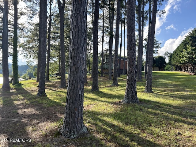 290 Pine Crest Dr, Rutledge, TN 37861 - photo 35