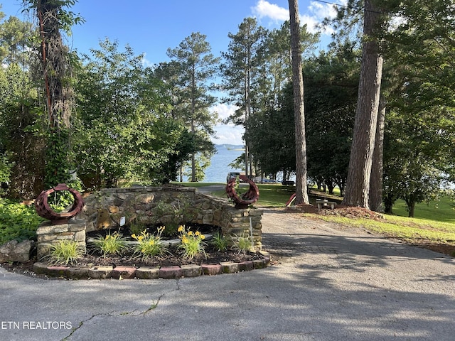 290 Pine Crest Dr, Rutledge, TN 37861 - photo 39