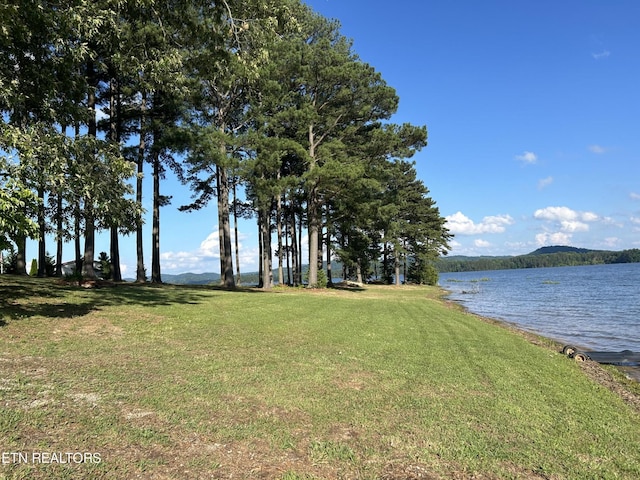 290 Pine Crest Dr, Rutledge, TN 37861 - photo 29