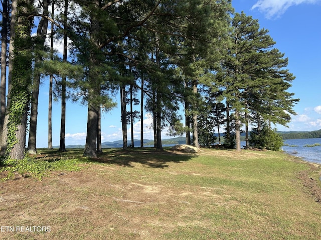 290 Pine Crest Dr, Rutledge, TN 37861 - photo 32