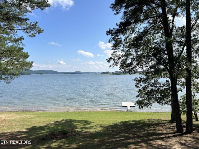 290 Pine Crest Dr, Rutledge, TN 37861 - photo 2