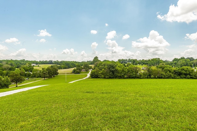 1629 Rock Bridge Rd, Bethpage, TN 37022 - photo 37