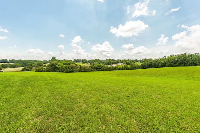1629 Rock Bridge Rd, Bethpage, TN 37022 - photo 35