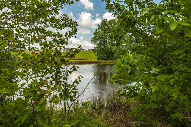 1629 Rock Bridge Rd, Bethpage, TN 37022 - photo 39