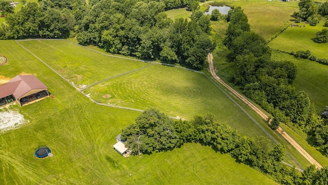 1629 Rock Bridge Rd, Bethpage, TN 37022 - photo 28