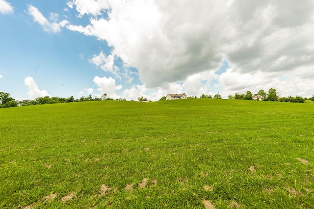 1629 Rock Bridge Rd, Bethpage, TN 37022 - photo 38