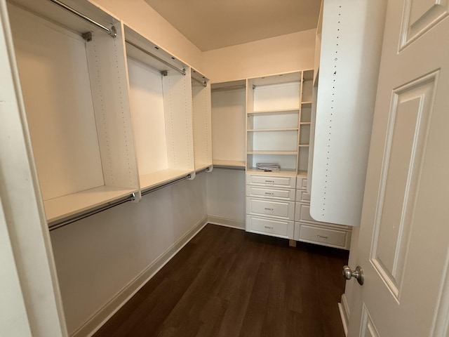 1413 Station Four Ln, Old Hickory, TN 37138 - spacious closet featuring dark wood finished floors
