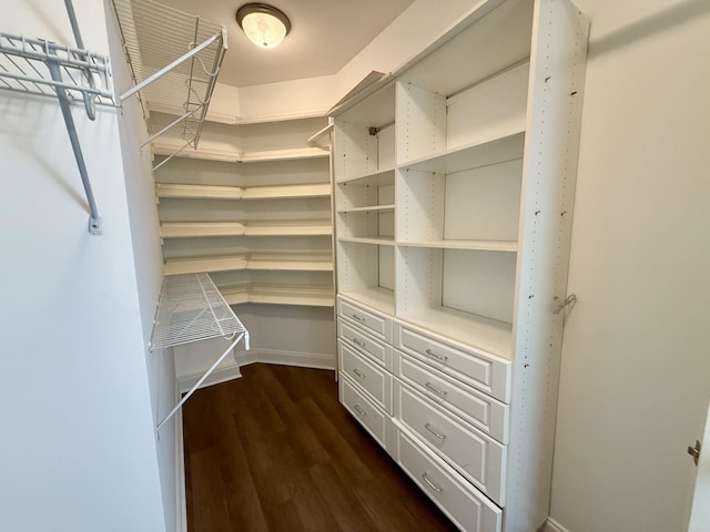 1413 Station Four Ln, Old Hickory, TN 37138 - spacious closet featuring dark wood finished floors