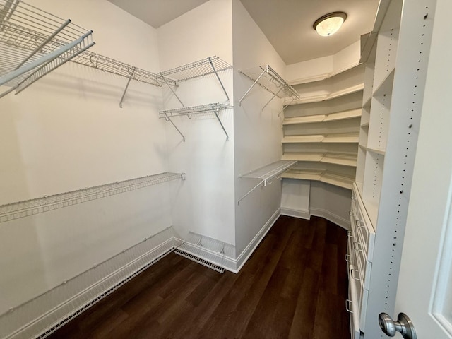 1413 Station Four Ln, Old Hickory, TN 37138 - spacious closet featuring dark wood-type flooring