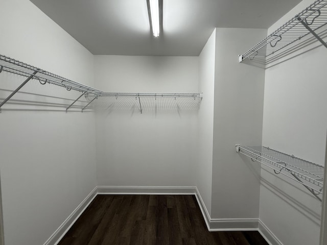 1413 Station Four Ln, Old Hickory, TN 37138 - walk in closet with dark wood-style flooring