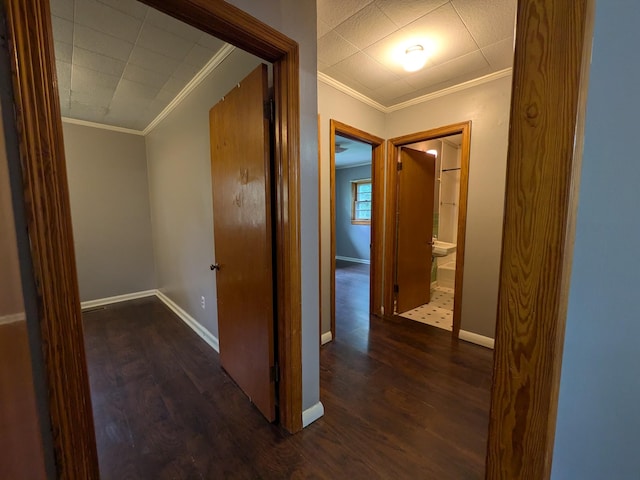 3007 Green Hill Dr, Centerville, TN 37033 - corridor featuring ornamental molding and dark wood-type flooring