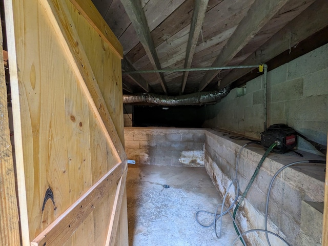 3007 Green Hill Dr, Centerville, TN 37033 - below grade area featuring concrete block wall