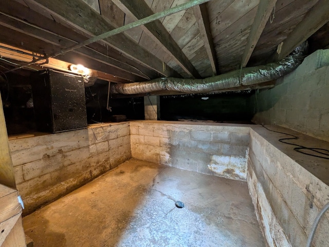 3007 Green Hill Dr, Centerville, TN 37033 - basement with crawl space