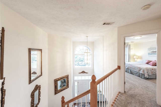 101 Annas Ct, Hendersonville, TN 37075 - photo 22