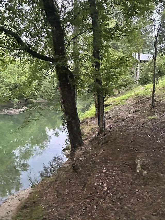 2933 Vanzant Bend Rd, Belvidere, TN 37306 - view of local wilderness featuring a nearby body of water
