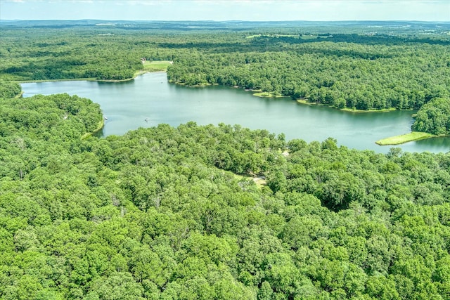 0 Hemlock Ln, Spencer, TN 38585