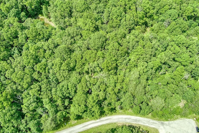 0 Hemlock Ln, Spencer, TN 38585
