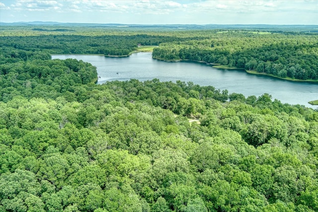 0 Hemlock Ln, Spencer, TN 38585