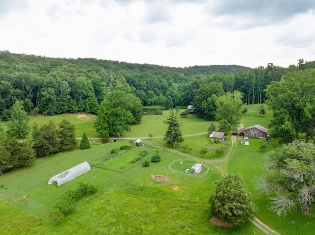 1261 S Cedar Ln, Chickamauga, GA 30707 - aerial view of sparsely populated area featuring a forest