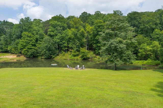 1261 S Cedar Ln, Chickamauga, GA 30707 - view of green lawn with a water view and a wooded view