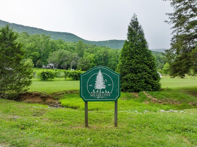 1261 S Cedar Ln, Chickamauga, GA 30707 - exterior view of a mountain backdrop