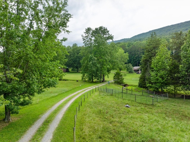 1261 S Cedar Ln, Chickamauga, GA 30707 - view of yard with a rural view and driveway