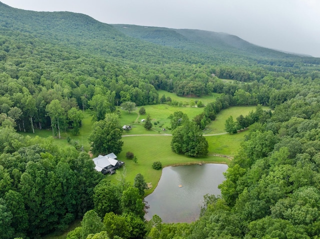 1261 S Cedar Ln, Chickamauga, GA 30707 - aerial view of a water and mountain view and a forest