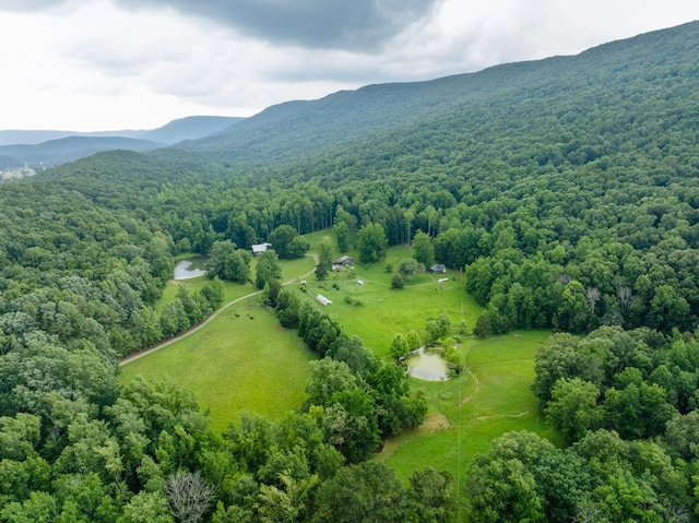 1261 S Cedar Ln, Chickamauga, GA 30707 - bird's eye view of mountains