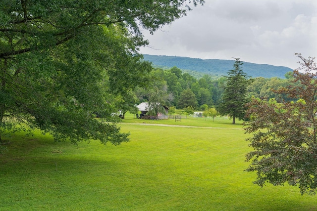1261 S Cedar Ln, Chickamauga, GA 30707 - view of property's community featuring a yard and a mountain view