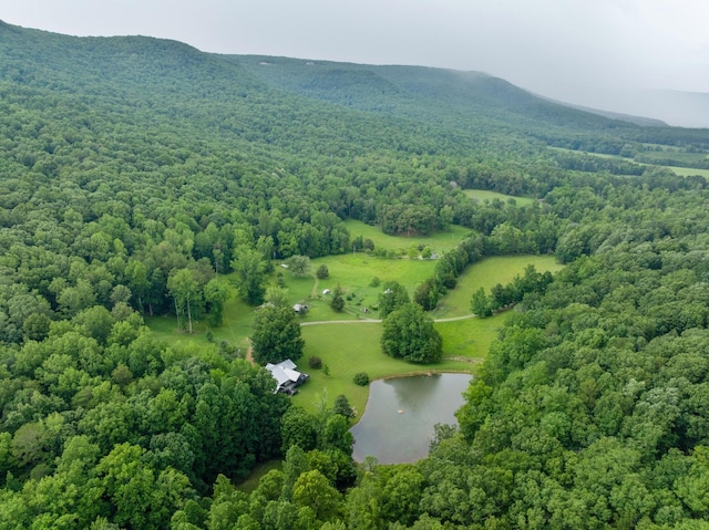 1261 S Cedar Ln, Chickamauga, GA 30707 - aerial view of property and surrounding area featuring a water and mountain view and a forest