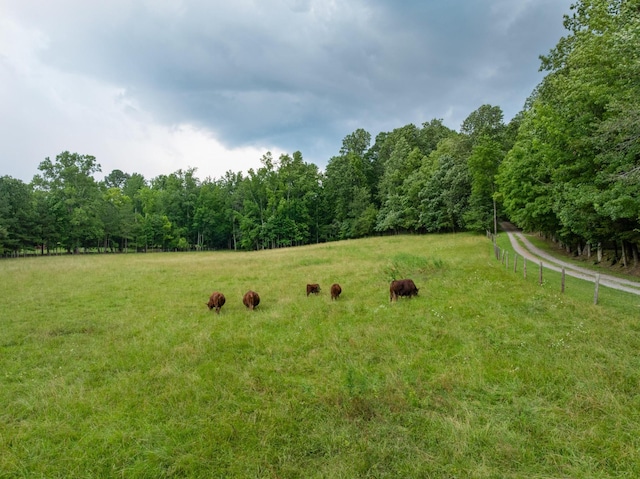 1261 S Cedar Ln, Chickamauga, GA 30707 - view of grassy yard featuring a view of rural / pastoral area and a forest view