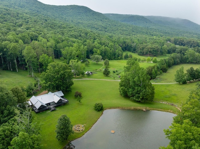 1261 S Cedar Ln, Chickamauga, GA 30707 - aerial view of a water and mountain view and a forest