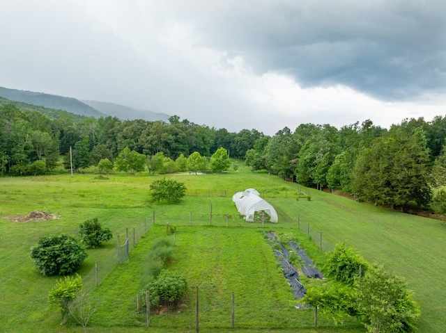 1261 S Cedar Ln, Chickamauga, GA 30707 - overview of rural landscape with a pastoral area and a forest