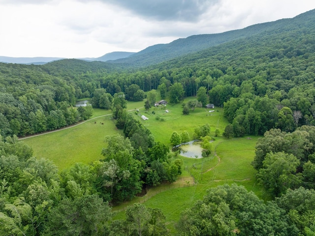 1261 S Cedar Ln, Chickamauga, GA 30707 - view of rural area with a forest and a mountainous background