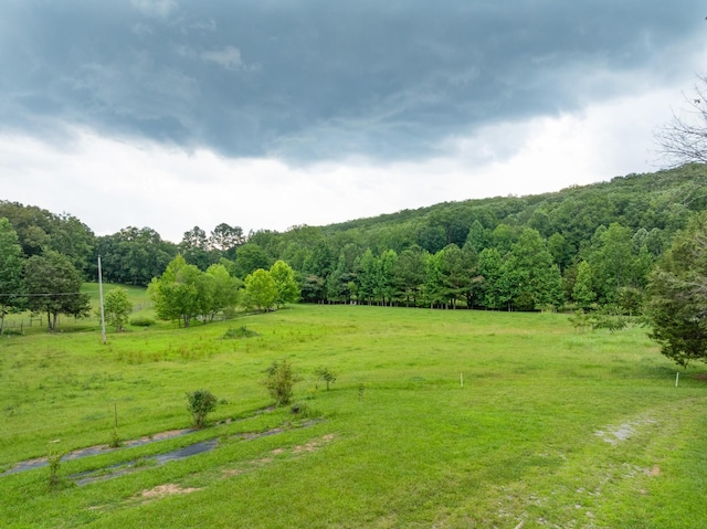 1261 S Cedar Ln, Chickamauga, GA 30707 - view of yard with a view of rural / pastoral area and a wooded view