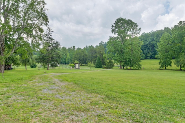 1261 S Cedar Ln, Chickamauga, GA 30707 - view of green lawn