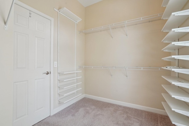 120 Herons Nest Ln, Hendersonville, TN 37075 - photo 17