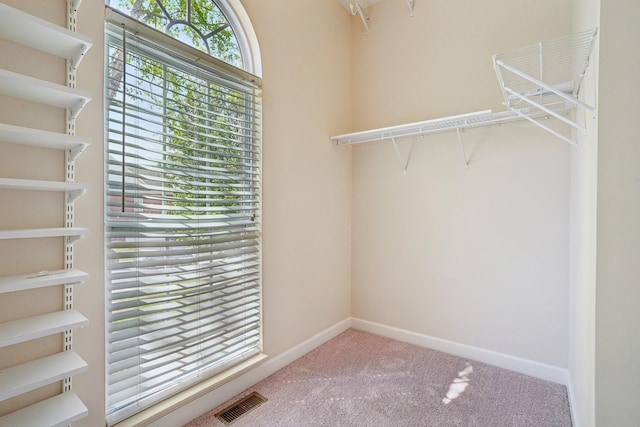 120 Herons Nest Ln, Hendersonville, TN 37075 - photo 16