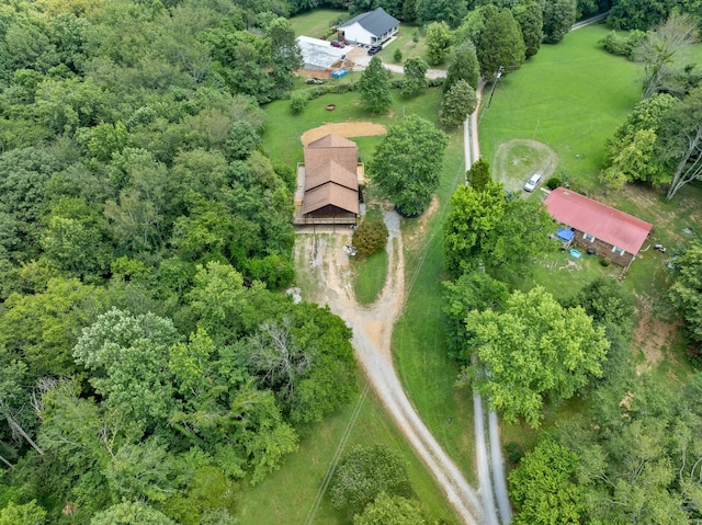 115 Annabelle Way, Ashland City, TN 37015 - aerial view