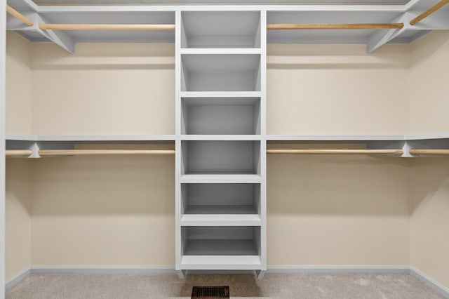115 Annabelle Way, Ashland City, TN 37015 - walk in closet featuring carpet flooring