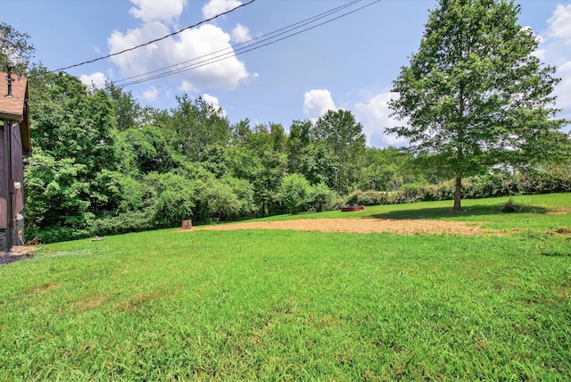 115 Annabelle Way, Ashland City, TN 37015 - view of grassy yard