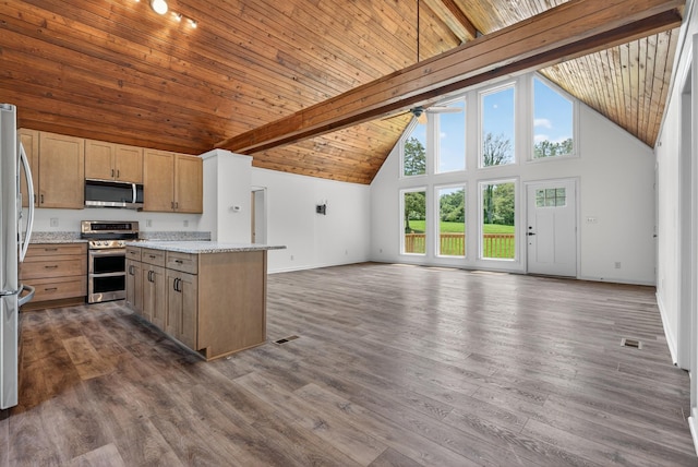 115 Annabelle Way, Ashland City, TN 37015 - kitchen with stainless steel appliances, high vaulted ceiling, open floor plan, a ceiling fan, and a wooden ceiling with exposed beams