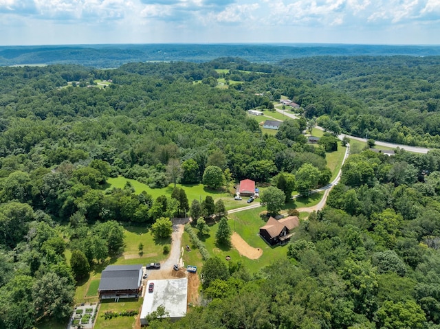 115 Annabelle Way, Ashland City, TN 37015 - bird's eye view of a heavily wooded area